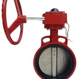 van-buom-tin-hieu-dien - ảnh nhỏ  1