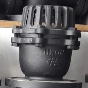 ro-bom-gang - ảnh nhỏ 1