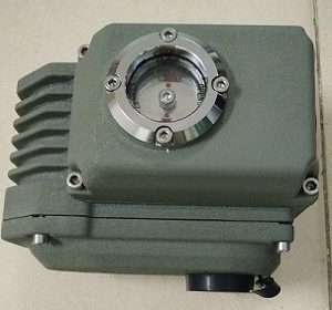 dong-co-dieu-khien-dien-haitima-dai-loan - ảnh nhỏ  1