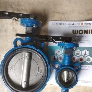 van-buom-tay-gat-wonil - ảnh nhỏ  1