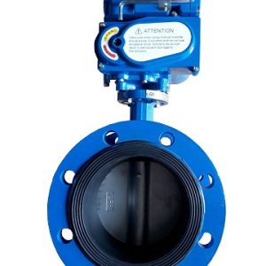 van-buom-mat-bich-dieu-khien-dien - ảnh nhỏ 2