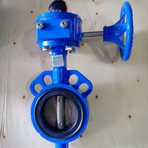 van-buom-tay-quay-wonil - ảnh nhỏ 2