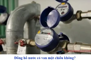 Đồng hồ nước có van một chiều không