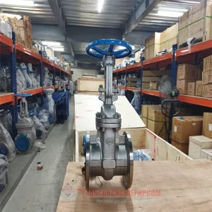 Hình ảnh van cổng ty nổi