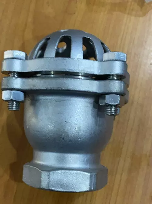 Luppe inox 304 nối ren