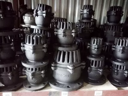 luppe gang, rọ bơm gang wonil