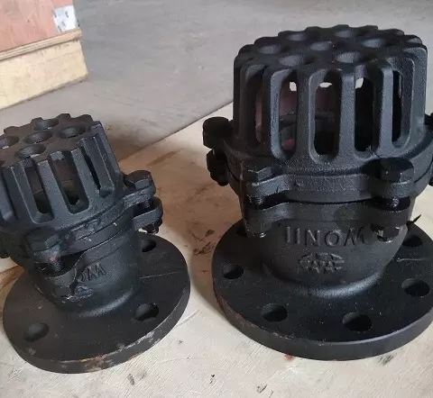Rọ bơm DN250 Wonil
