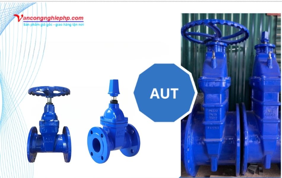 van cổng ty chìm aut