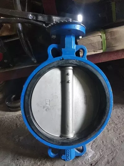 Van bướm tay gạt DN300