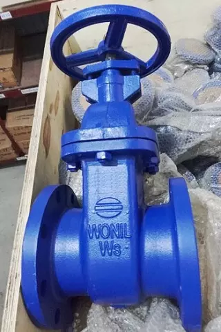 van cổng gang ty chìm mặt bích Wonil