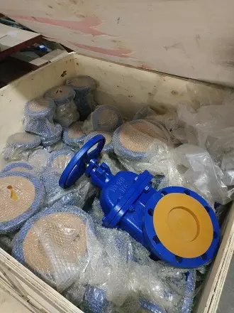 vanconggangwonil van cổng gang wonil