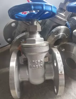 vancongmatbichinox van cổng mặt bích inox