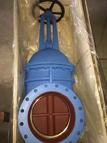 van cổng ty nổi Wonil Hàn Quốc