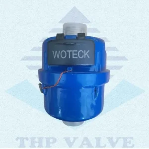 Đồng hồ nước thể tích cấp C Woteck