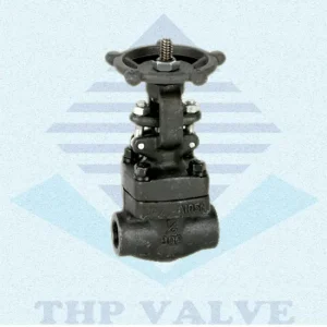 Van cầu thép rèn A105 FBV