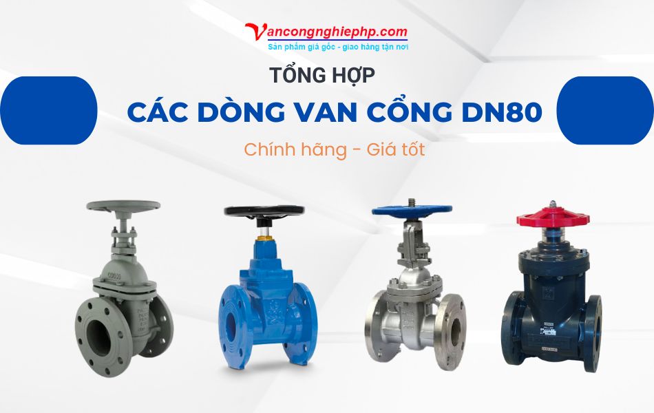 các dòng van cổng dn80