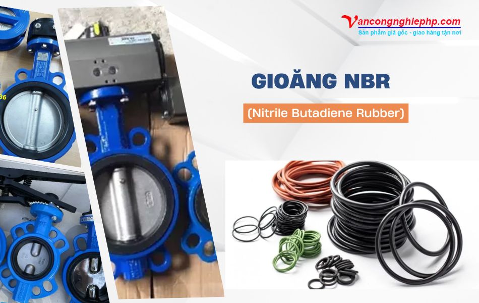 Gioăng van bướm chất liệu NBR
