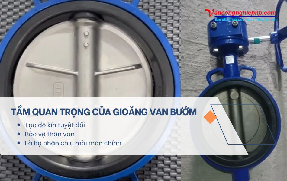 Giới thiệu về gioăng van bướm và vai trò của nó