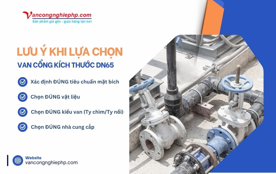 Kinh nghiệm lựa chọn van cửa kích thước DN65 phù hợp