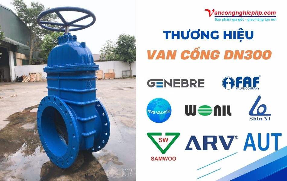 thương hiệu van cổng dn300 chất lượng