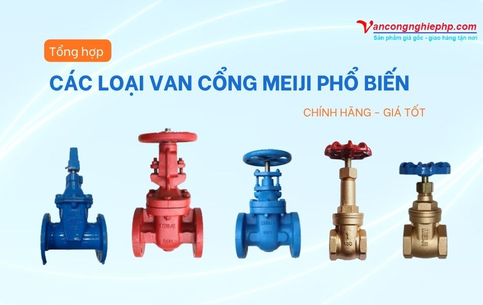 top các loại van cổng meiji