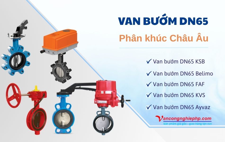 Thương hiệu van bướm DN65 phân khúc Châu Âu - KSB, Belimo, FAF, KVS, Ayvaz