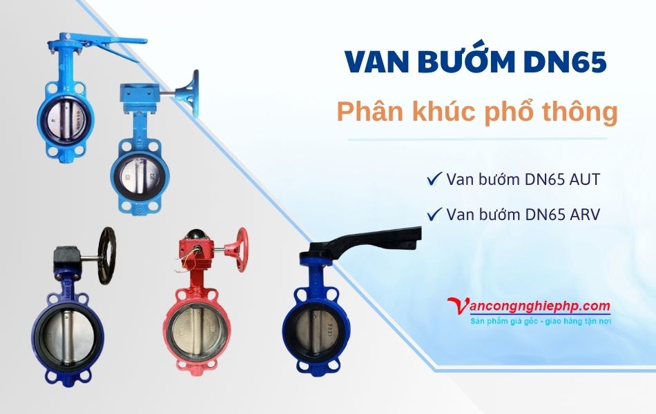 Thương hiệu van bướm DN65 phân khúc phổ thông - AUT, ARV