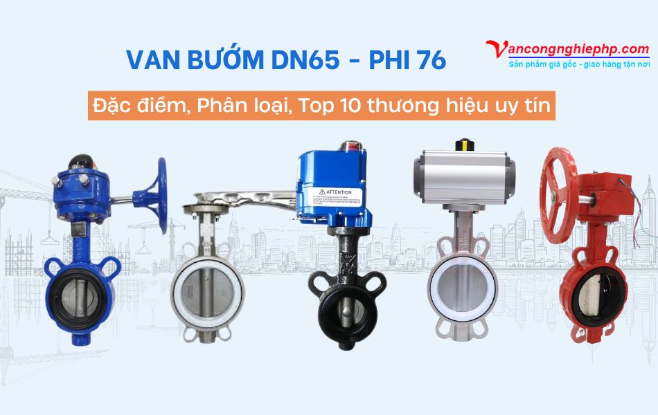 van bướm dn65