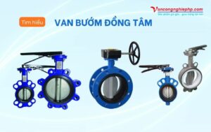 van bướm đồng tâm