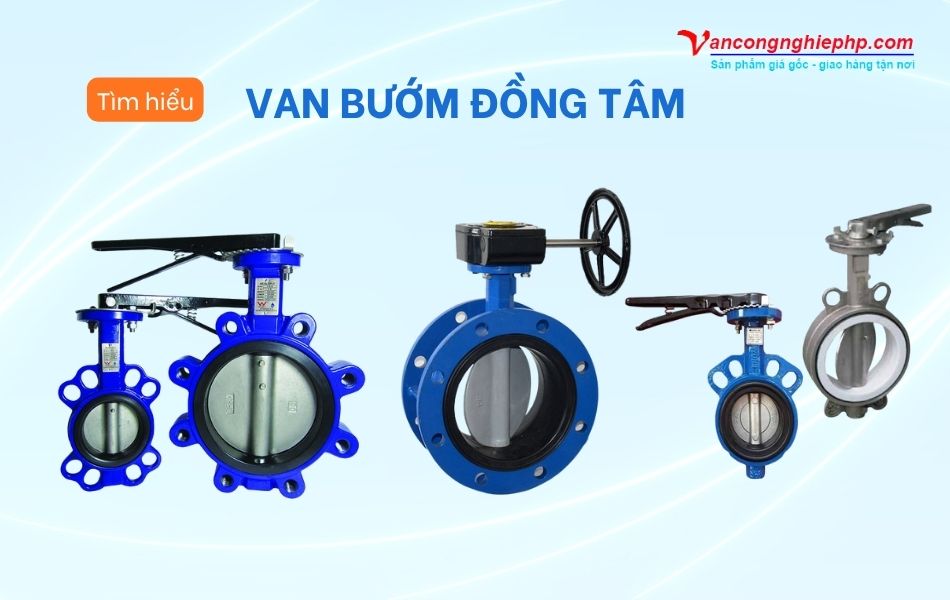 van bướm đồng tâm