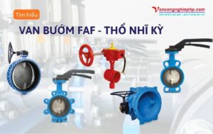 van bướm faf thổ nhĩ kỳ