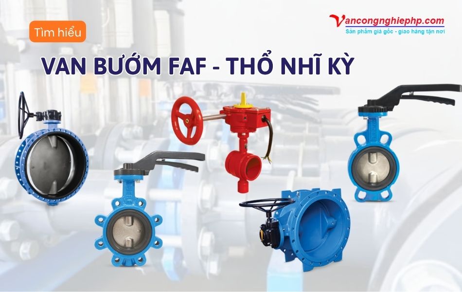 van bướm faf thổ nhĩ kỳ