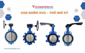 van bướm kvs thổ nhĩ kỳ