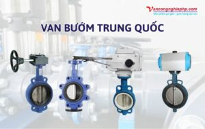 van bướm trung quốc