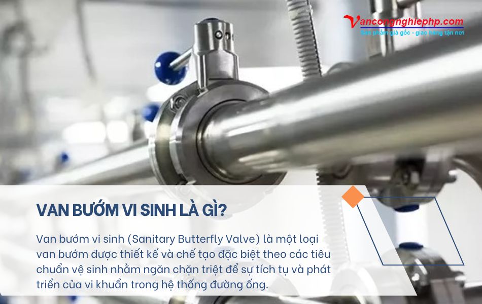 van bướm vi sinh là gì