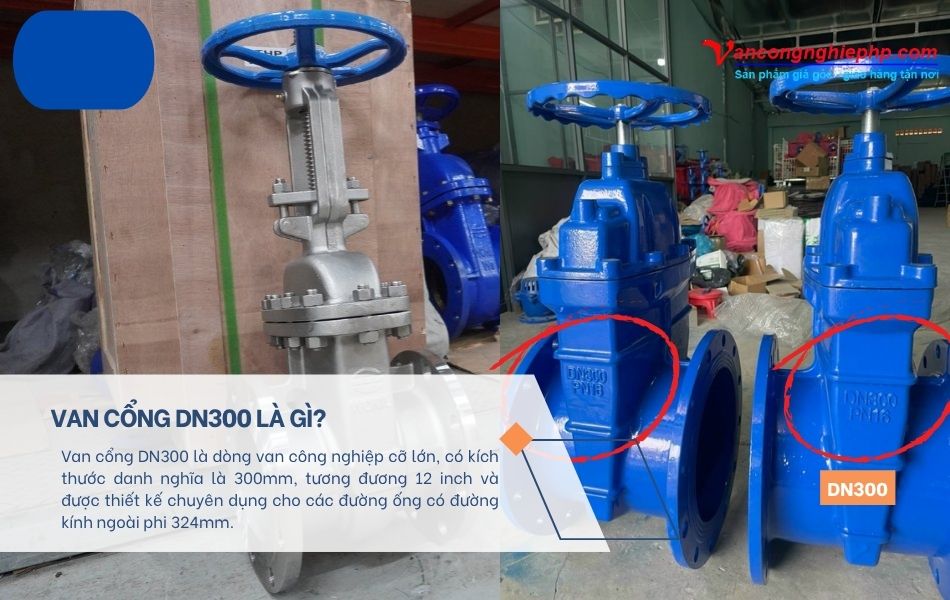 van cổng dn300 là gì