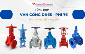 van cổng dn65