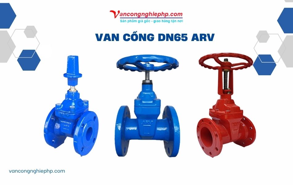 Van cổng DN65 ARV 