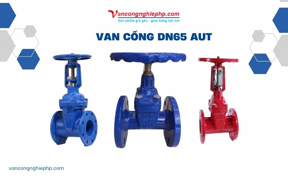 Van cổng DN65 AUT