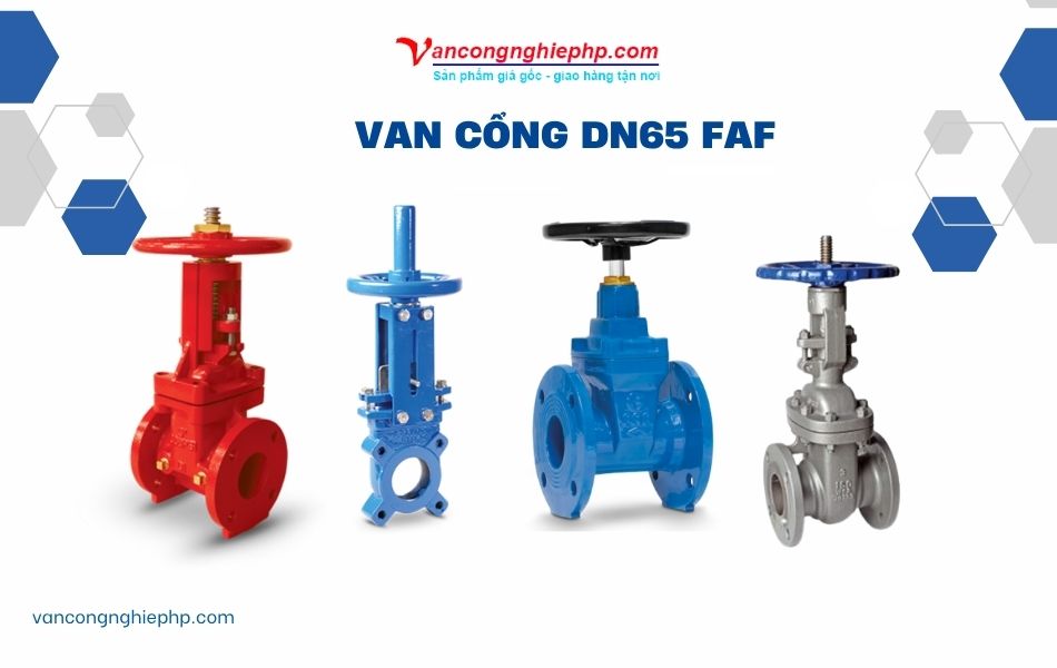 Van cổng DN65 FAF