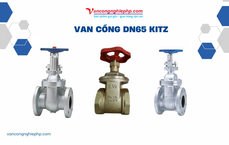 Van cổng DN65 Kitz