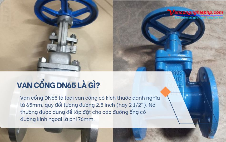 van cổng dn65 là gì