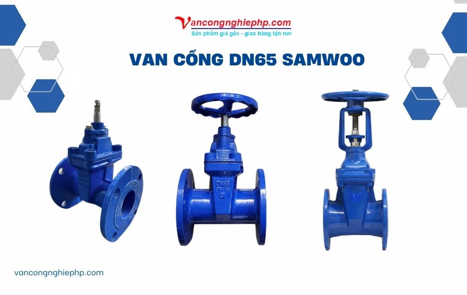 Van cổng DN65 Samwoo 