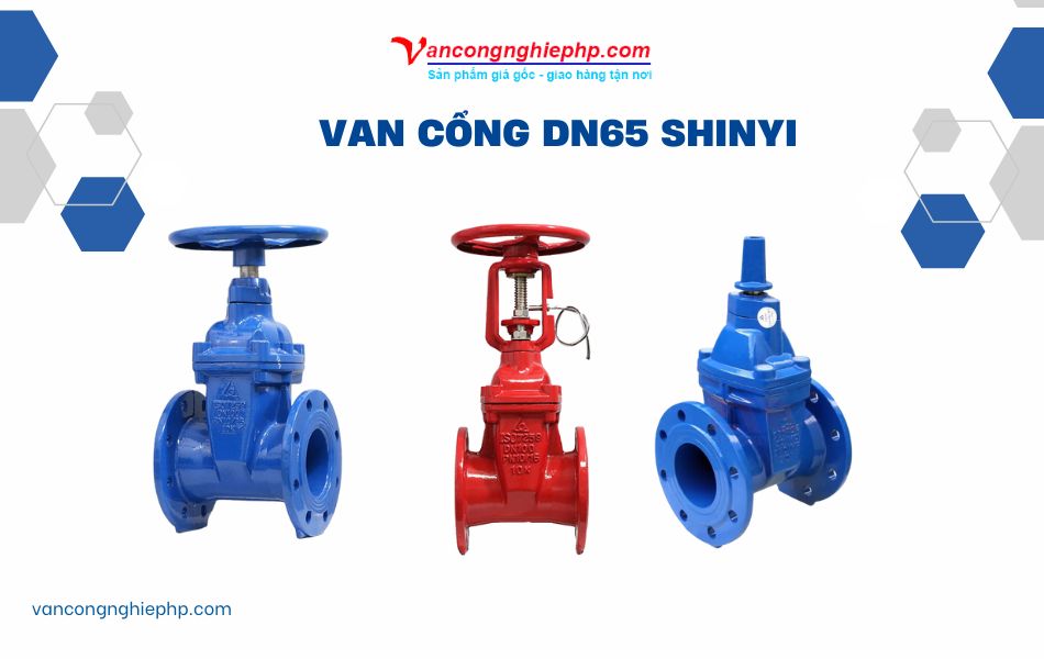 Van cổng DN65 Shinyi