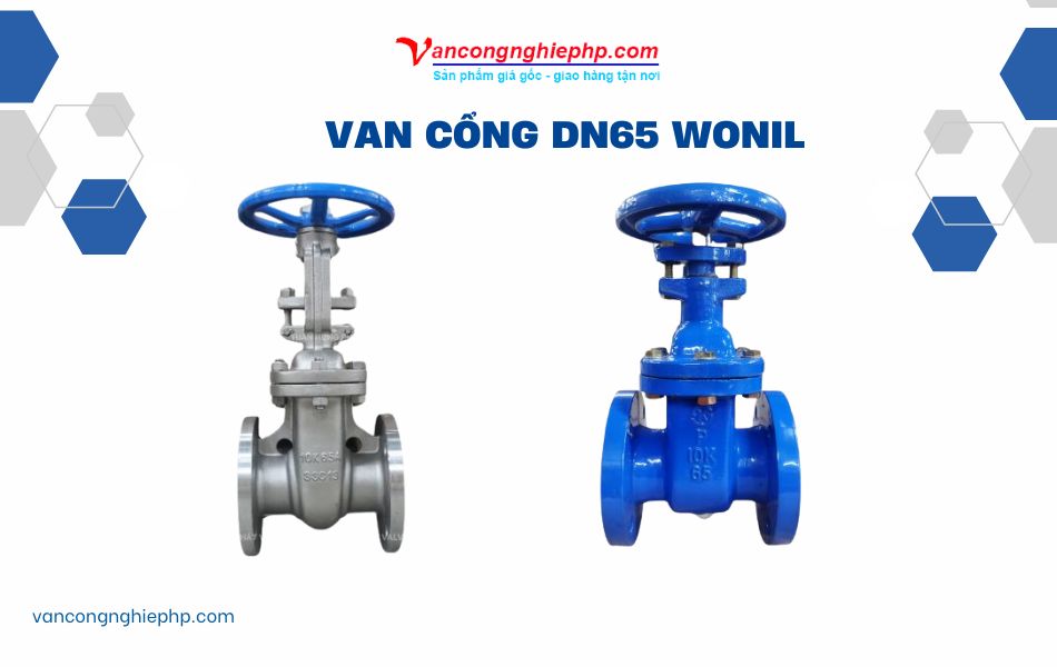 Van cổng DN65 Wonil