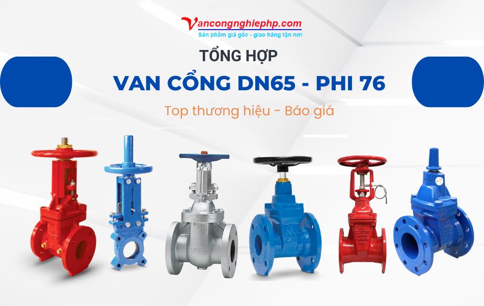 van cổng dn65