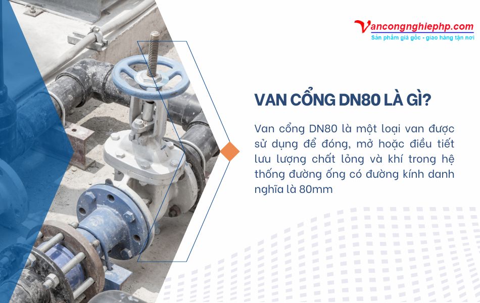 van cổng dn80 là gì