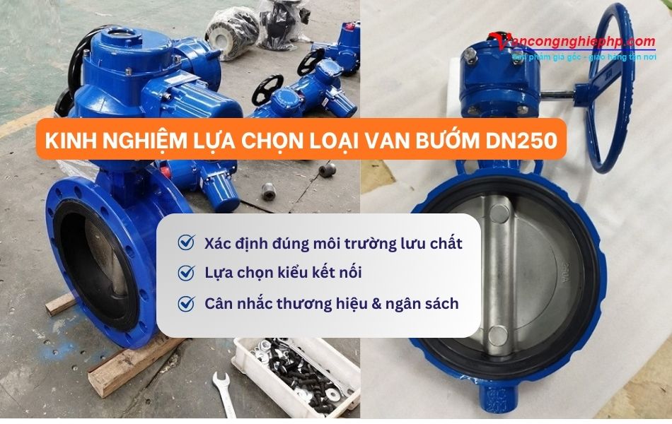 kinh nghiệm lựa chọn loại van bướm dn250