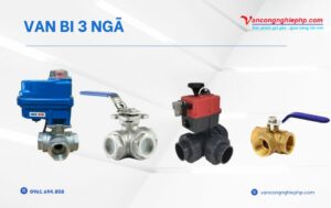 van bi 3 ngã
