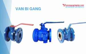 van bi gang